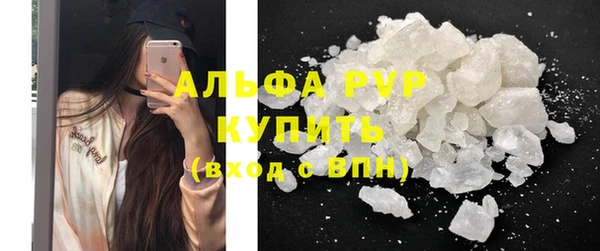 прущие грибы Белокуриха