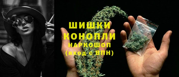 прущие грибы Белокуриха