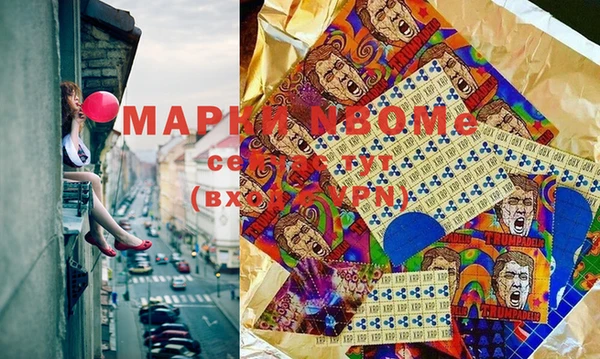 прущие грибы Белокуриха