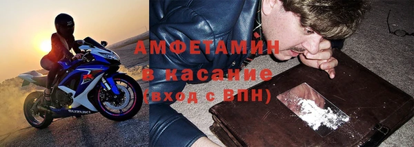 прущие грибы Белокуриха