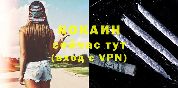 прущие грибы Белокуриха