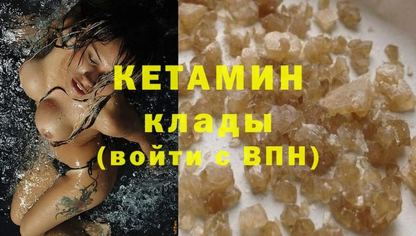 прущие грибы Белокуриха